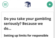 CasinoRoom Responsible Gambling Settings Mobile Device View 