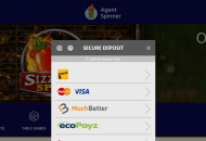 Agent Spinner Payment Methods Desktop Device View
