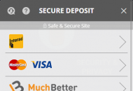 Agent Spinner Payment Methods Mobile Device View
