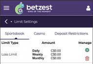 Betzest Responsible Gambling Settings Mobile Device View 