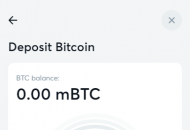 Bitcasino Payment Methods Mobile Device View 