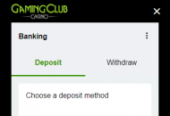 GamingClub Payment Methods Mobile Device View
