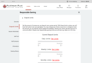 PlatinumPlay Responsible Gambling Settings Desktop Device View