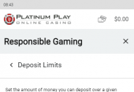 PlatinumPlay Responsible Gambling Settings Mobile Device View