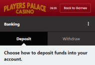 PlayerPalace Payment Methods Mobile Device View