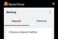 RoyalVegas Payment Methods Mobile Device View