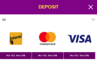 SlotsMagic Payment Methods Mobile Device View