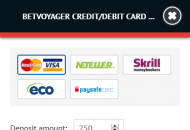 BetVoyager Payment Methods Mobile Device View 