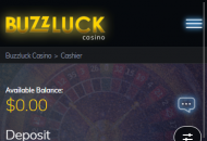 Buzzluck Payment Methods Mobile Device View 