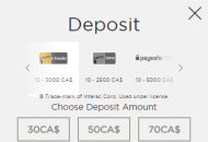 CasinoCruise Payment Methods Mobile Device View 