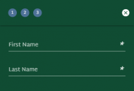 FairGo Registration Form Step 1 Mobile Device View