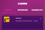 FrankFredCasino Payment Methods Mobile Device View