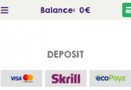 GaleAndMartinCasino Payment Methods Mobile Device View