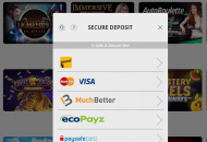 KarjalaKasino Payment Methods Desktop Device View