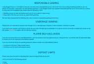 LuckyNugget Responsible Gambling Information 2 Desktop Device View