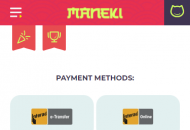 Maneki Payment Methods Mobile Device View 
