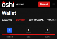 Oshi Payment Methods Mobile Device View 
