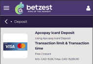 Betzest Payment Methods 2 Mobile Device View 