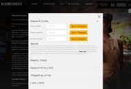 CasinoCruise Responsible Gambling Settings Desktop Device View