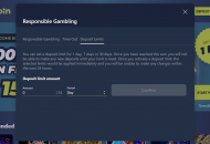 Casinoin Responsible Gambling Settings Desktop Device View