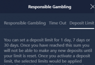 Casinoin Responsible Gambling Settings Mobile Device View