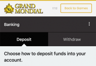 GrandMondial Payment Methods Mobile Device View