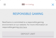 Next Responsible Gambling Settings Mobile Device View