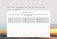 NYSpins Responsible Gambling Settings Desktop Device View