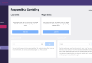 Slotum Responsible Gambling Settings Desktop Device View