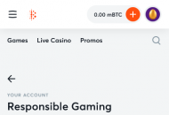 Bitcasino Responsible Gambling Information Mobile Device View