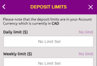 SlotsMagic Responsible Gambling Settings Mobile Device View