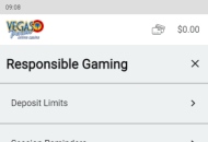 VegasPalms Responsible Gambling Settings Mobile Device View 