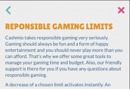 Cashmio Responsible Gambling Settings Mobile Device View