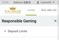 Europalace Responsible Gambling Settings Mobile Device View 
