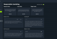 GSlot Responsible Gambling Settings Desktop Device View