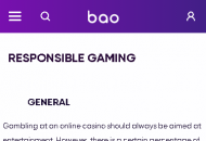 BaoCasino Responsible Gambling Information Mobile Device View