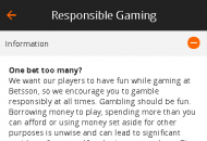 Betsson Responsible Gambling Information Mobile Device View