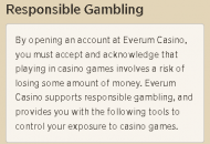 Everum Responsible Gambling Settings 2 Mobile Device View 