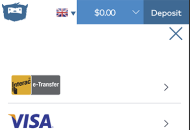 YetiCasino Payment Methods Mobile Device View