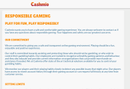 Cashmio Responsible Gambling Information Desktop Device View
