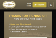 Colosseum Registration Form Step 3 Mobile Device View