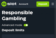 GSlot Responsible Gambling Settings Mobile Device View