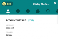 Locowin Account Data Mobile Device View
