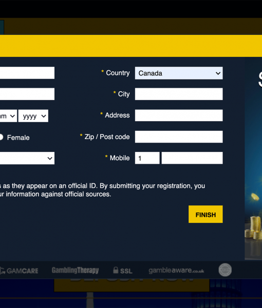 Euromoon Registration Form Step 2 Desktop Device View 