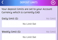 Playojo Responsible Gambling Settings Mobile Device View