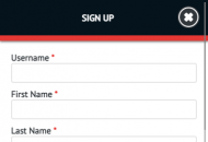 BetVoyager Registration Form Mobile Device View 