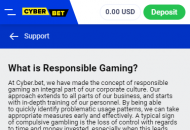 CyberBets Responsible Gambling Information Mobile Device View 