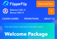 FlipperFlip Promotions Mobile Device View 