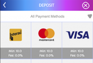 Playojo Payment Methods Mobile Device View