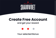 Shadowbet Registration Form Step 2 Mobile Device View
